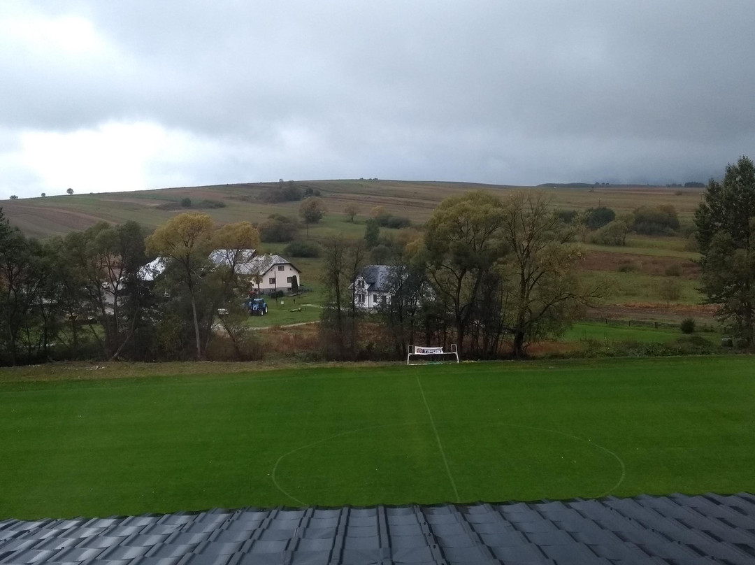 Restauracia Gol主图