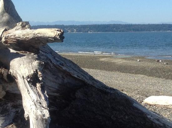 Kayak Point Regional County Park景点图片