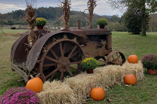 865 Axe Throwing-诺克斯维尔必去景点