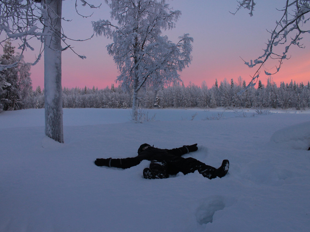 Eanan Levi Tours-Levi必去景点