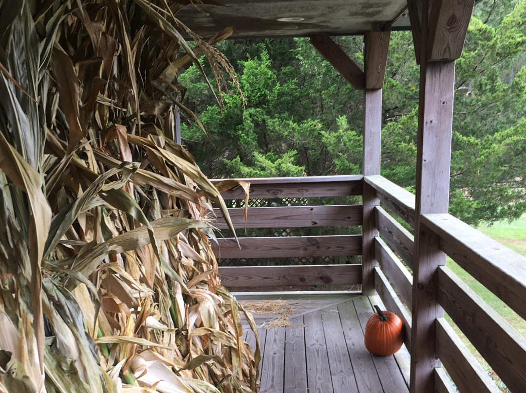 Wells Mills County Park景点图片