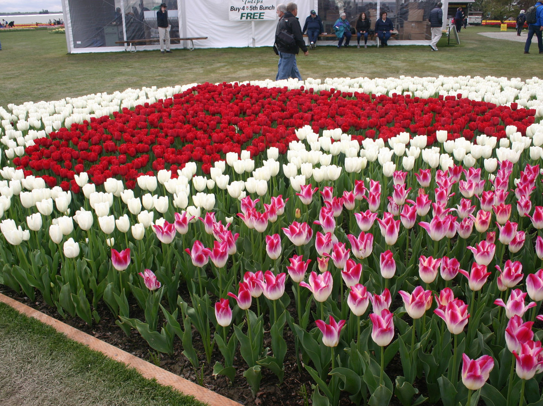 Roozengaarde Display Garden景点图片