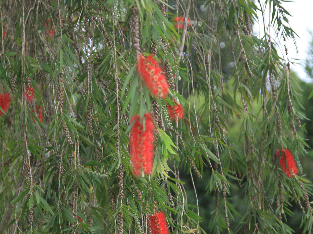 Bloomestate Swellendam主图