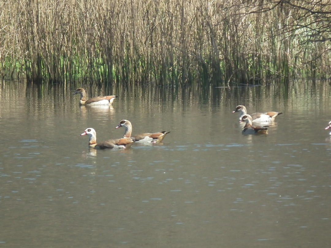 Kenmo Lake-安德堡必去景点