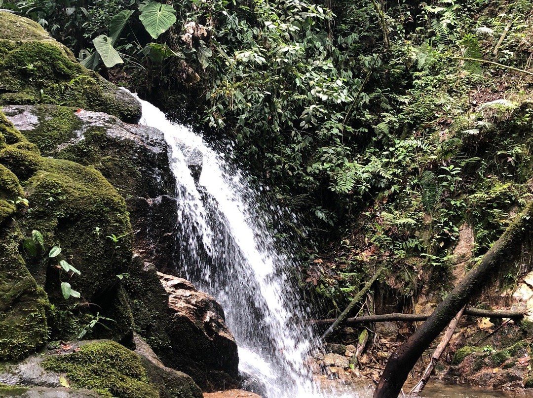 Colombia Getaway-Guatape必去景点