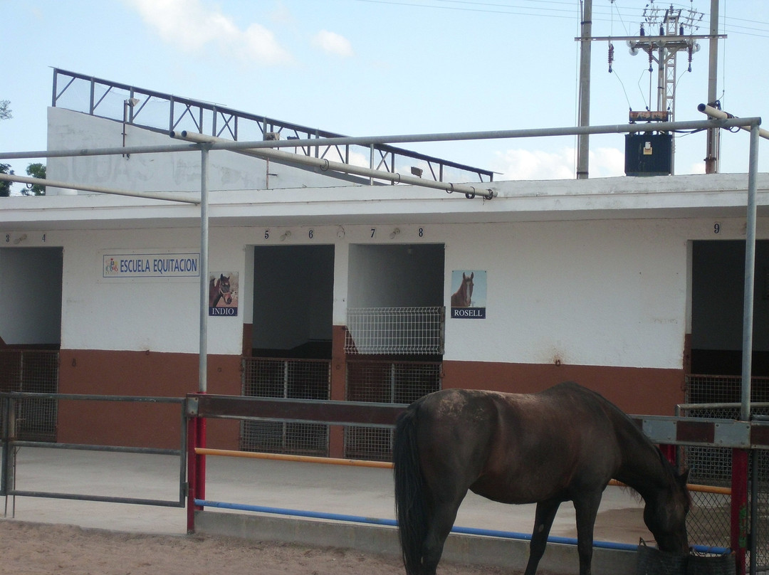 Sun Club El Dorado主图