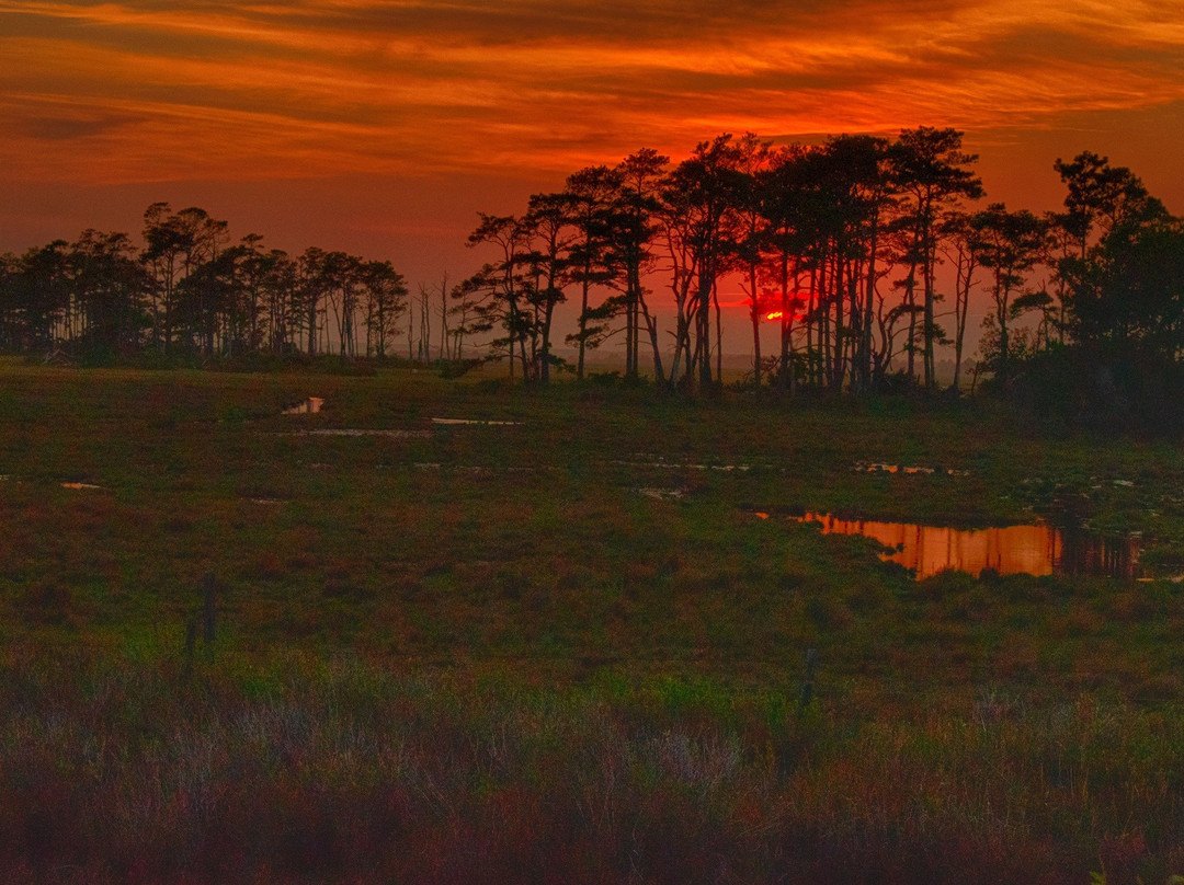 Chincoteague Bay Field Station-Wallops Island必去景点