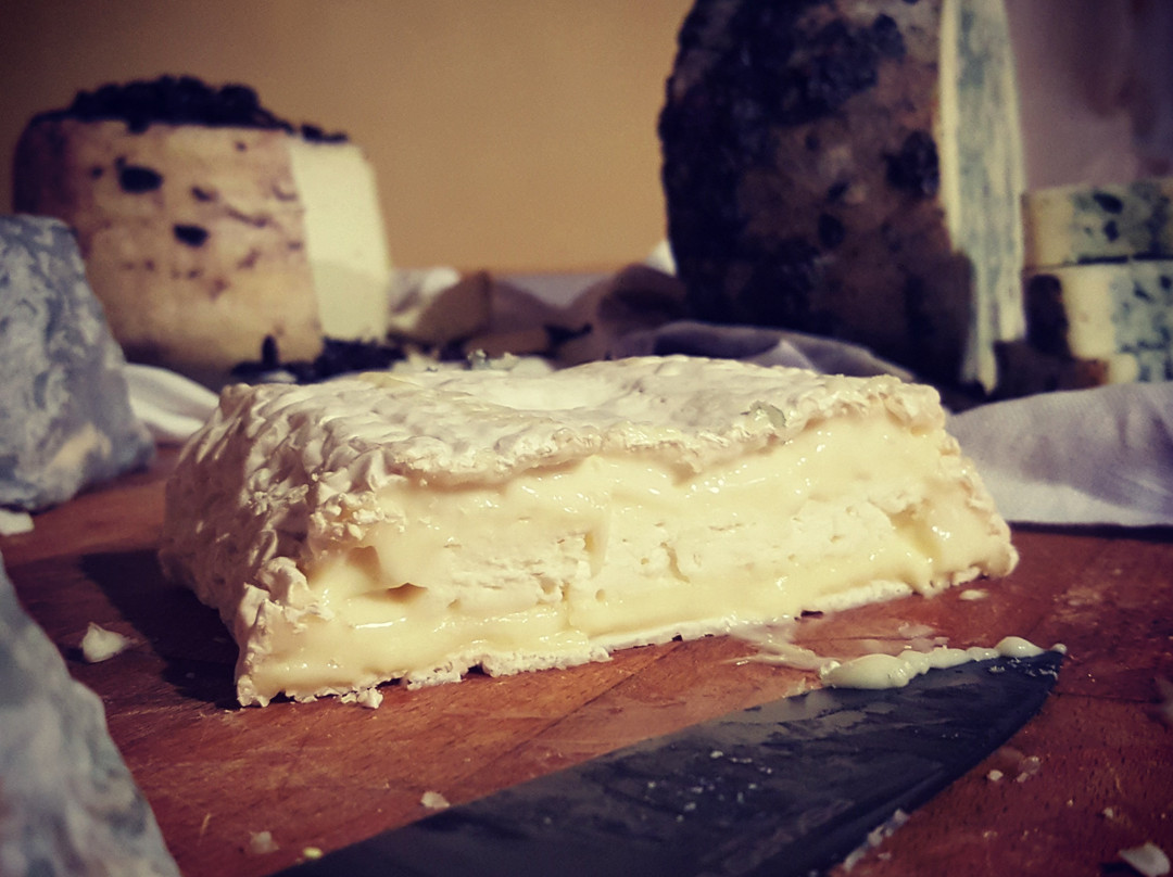 Fattoria Calcabrina-Montepennino必去景点