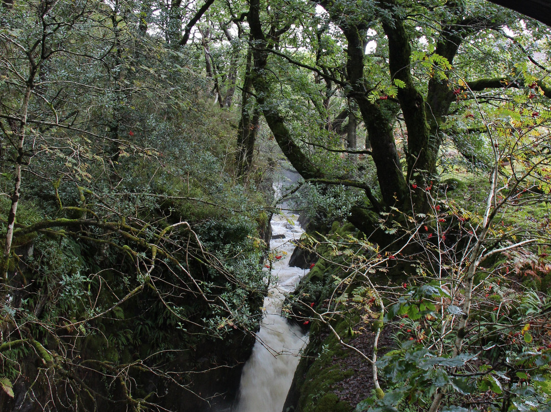 Loch Trool景点图片