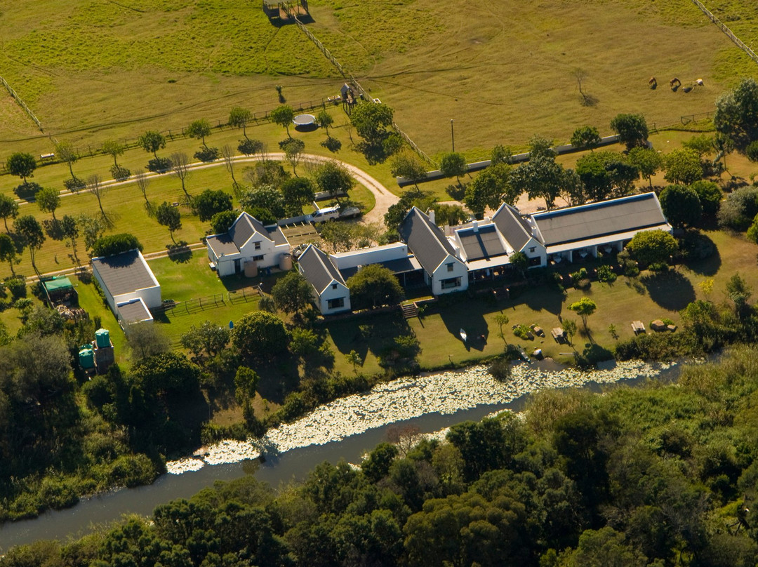 Wittedrift酒店住宿-Bitou River Lodge