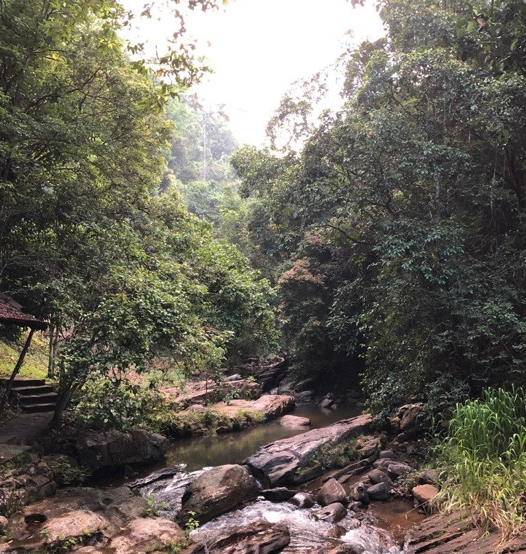 康提萨玛西中心酒店主图