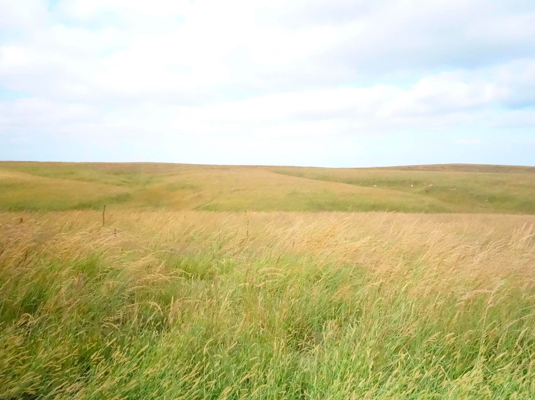 Willa Cather Memorial Prairie-Red Cloud必去景点