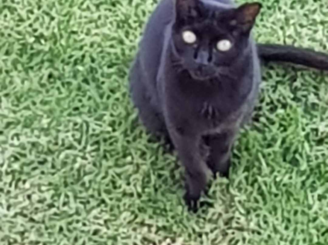 Club Ouratlântico主图