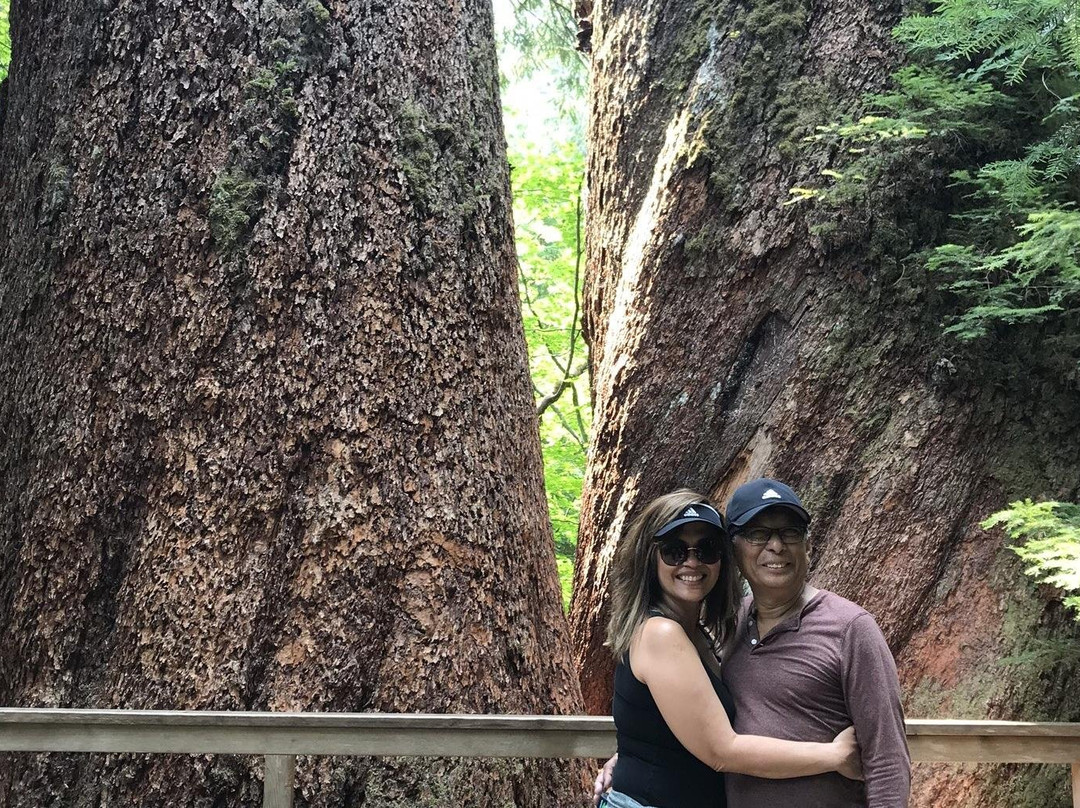 National Park Travel Club-西黄石镇必去景点