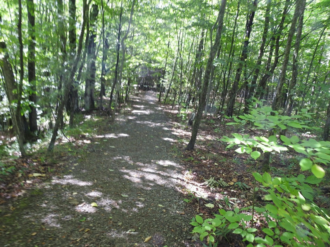 Antrim Creek Natural Area景点图片