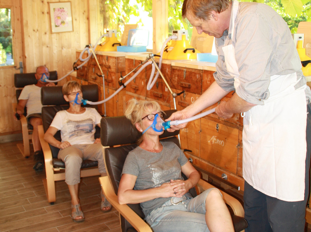 Apipura  - Hotel Rinner