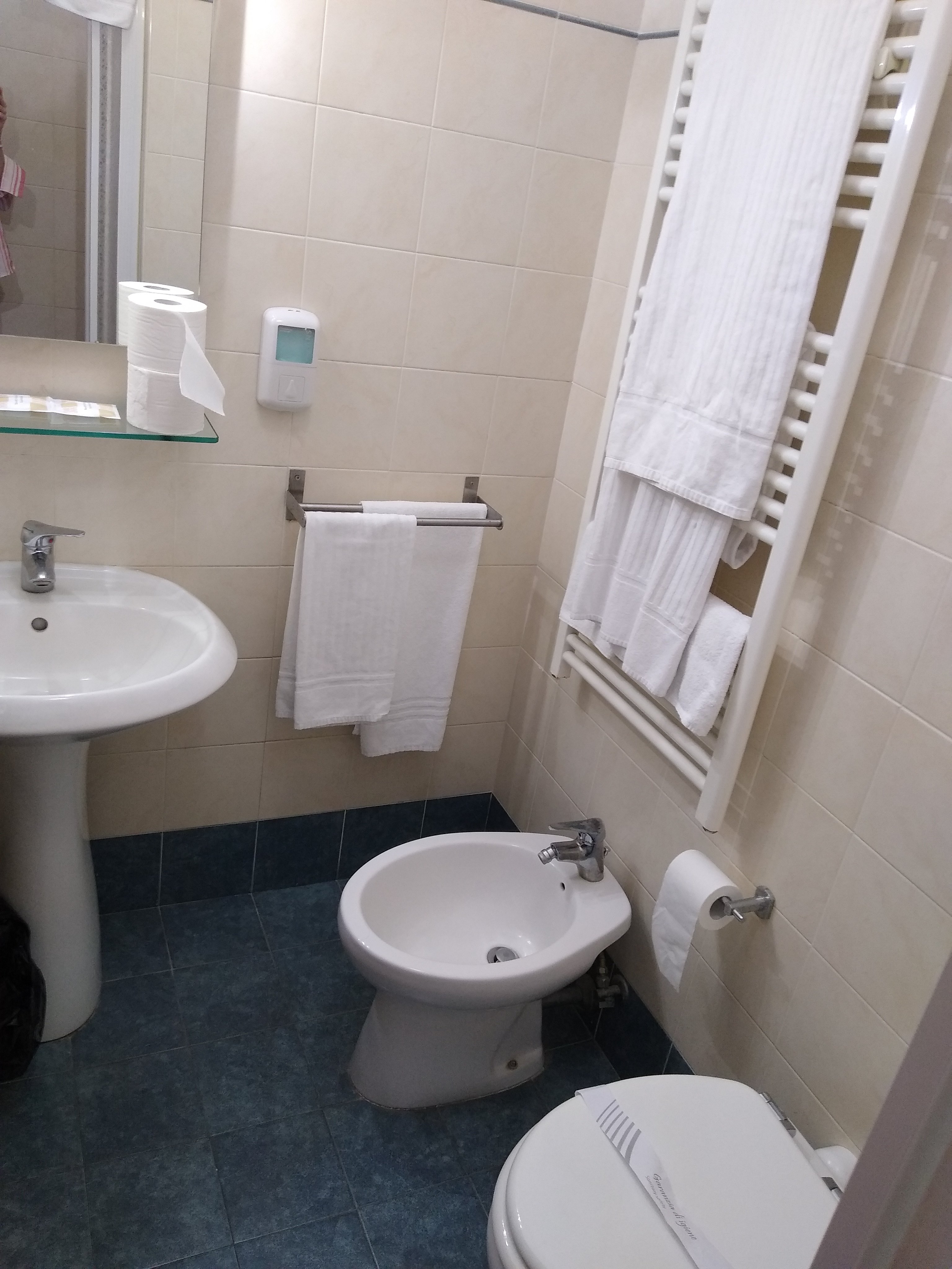 Hotel La Quercia-浴室