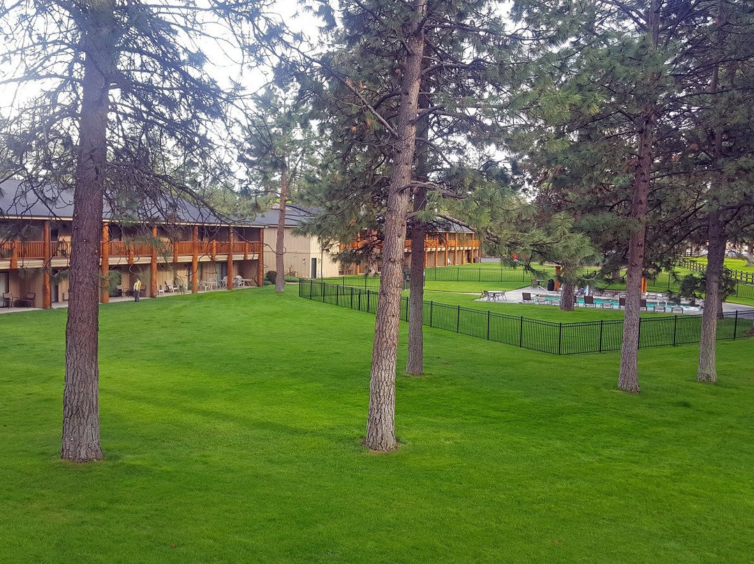 Best Western Ponderosa Lodge主图