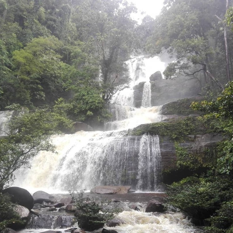 West Kalimantan旅游攻略图片