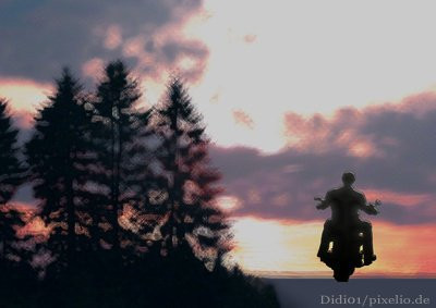 Taste Hotel Dresden主图