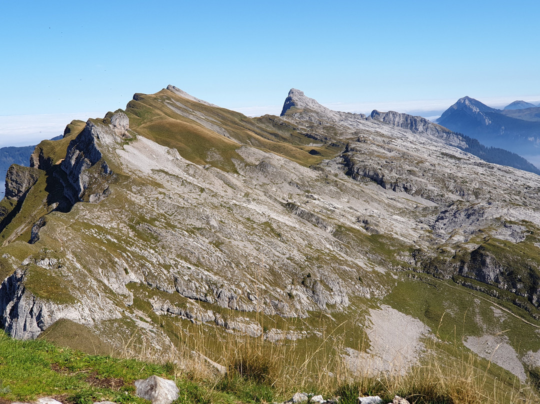 Berggasthaus Salwideli主图