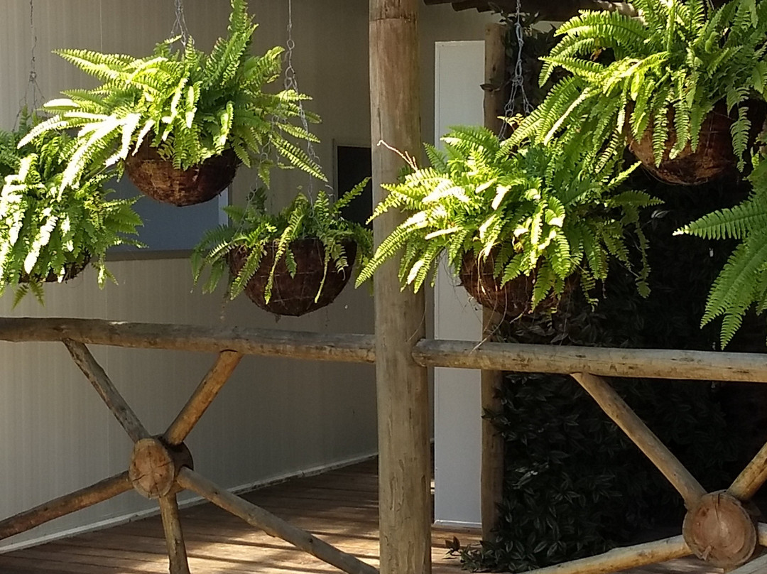 Hibiscus Beach Club-Maceio必去景点