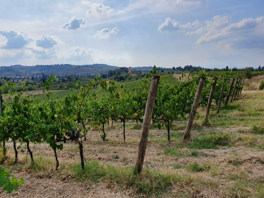 Fattoria di Piazzano-恩波利必去景点