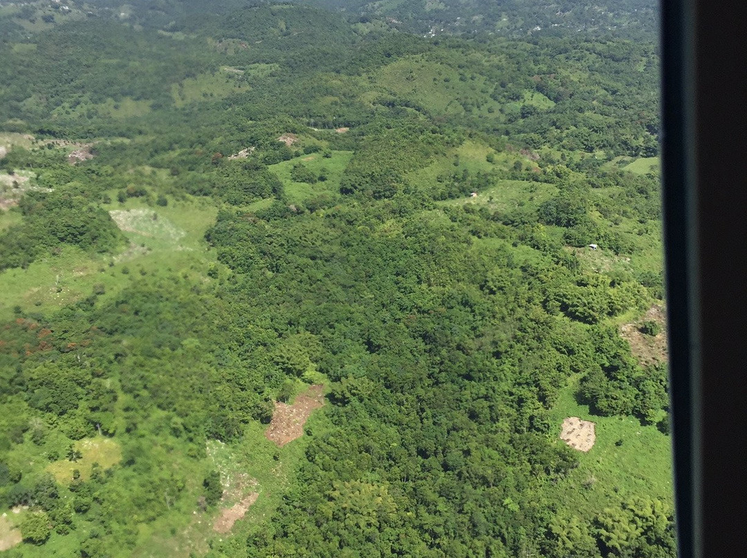 Captain's Aviation-金斯敦必去景点