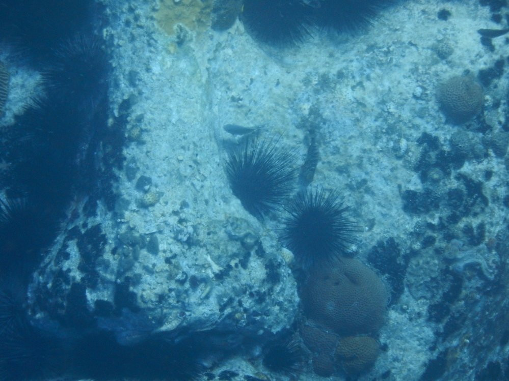 Maman Dlo-Saint-Pierre必去景点