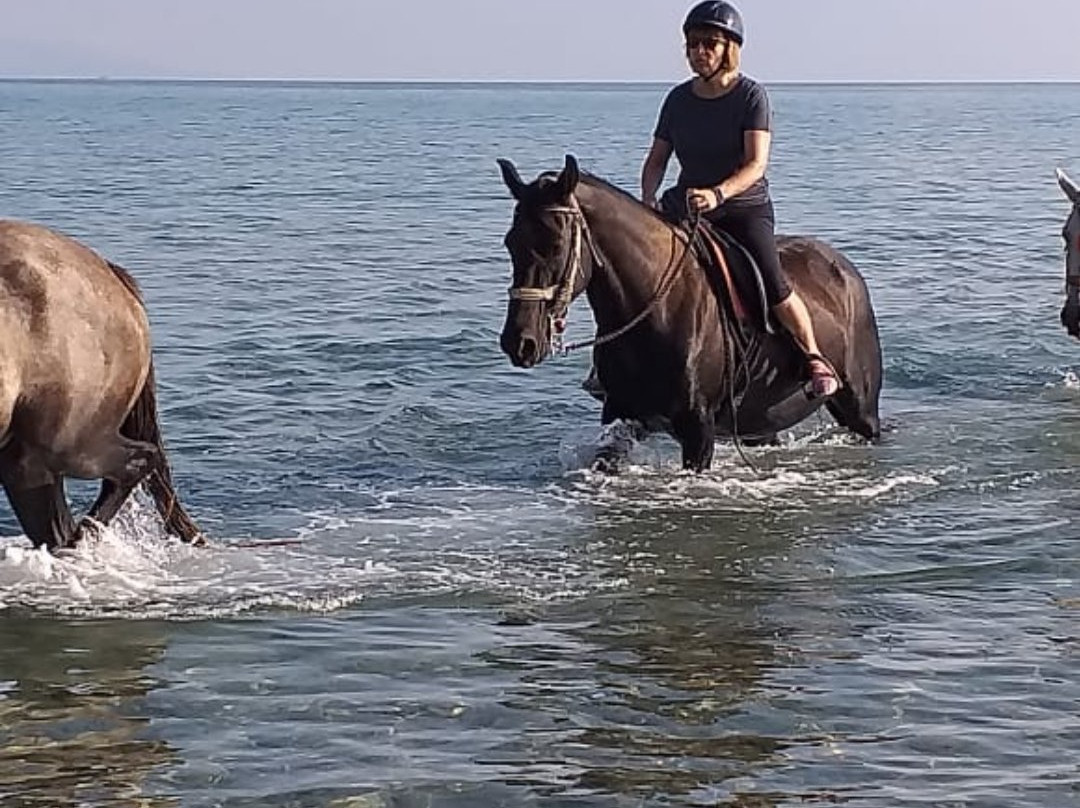 Rodeo Alykes Horse Riding-阿雷克斯必去景点