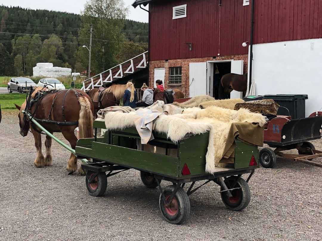 Skjerven Farm-奥斯陆必去景点