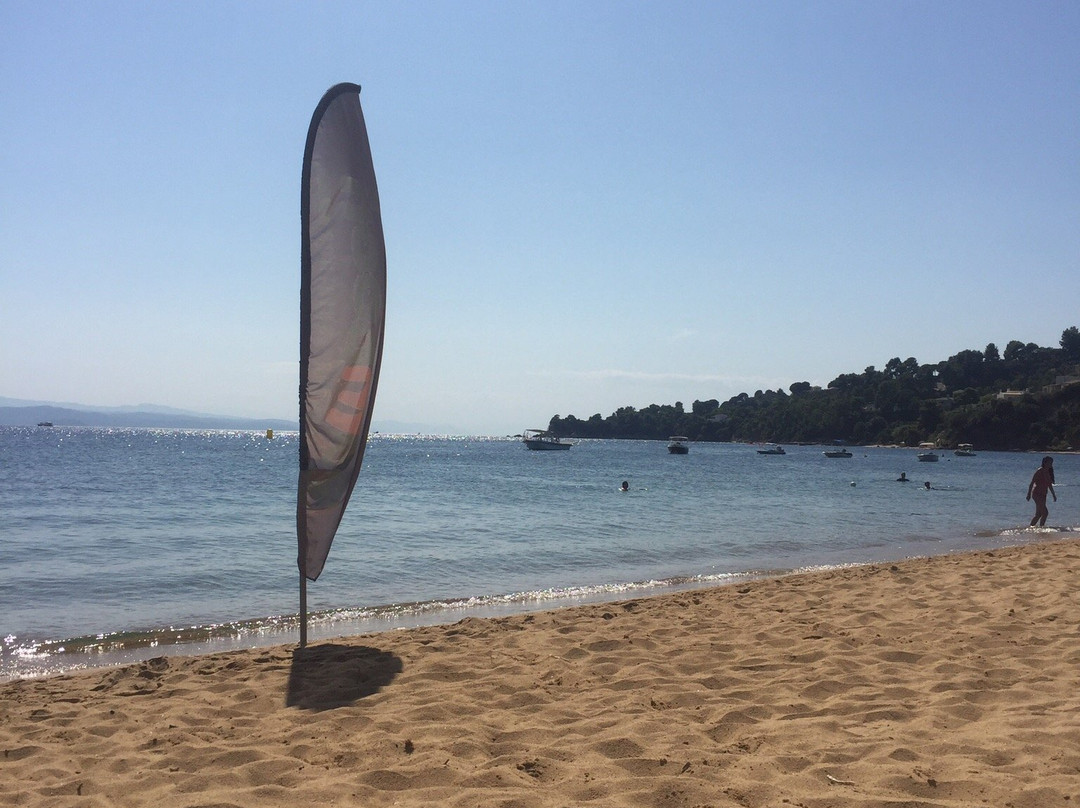 Strawberry Pension主图