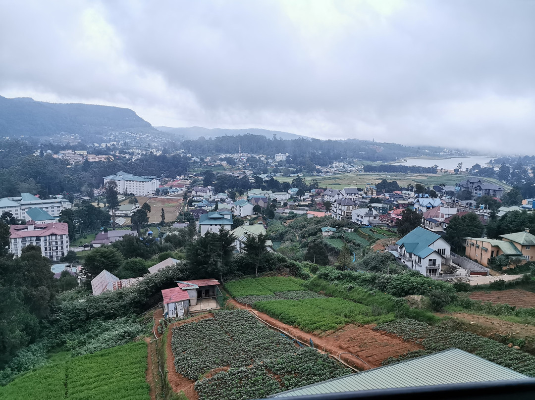 阿什利酒店主图