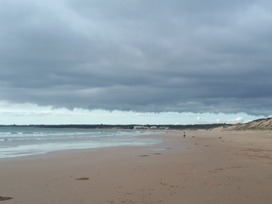 Plage des Conches景点图片