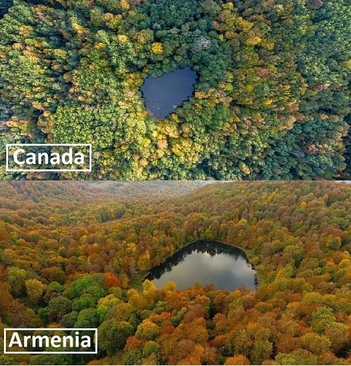 Dilijan National Park景点图片