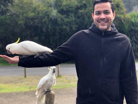 Melbourne Unique Tours-墨尔本必去景点