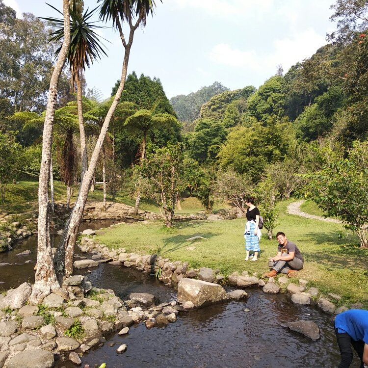 Cibodas Botanical Garden-Cianjur必去景点