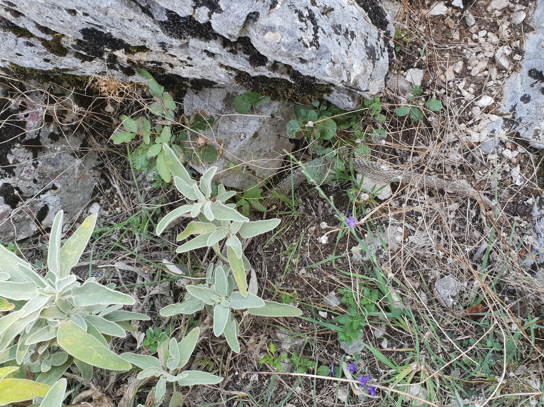 Berat Adventure-培拉特必去景点