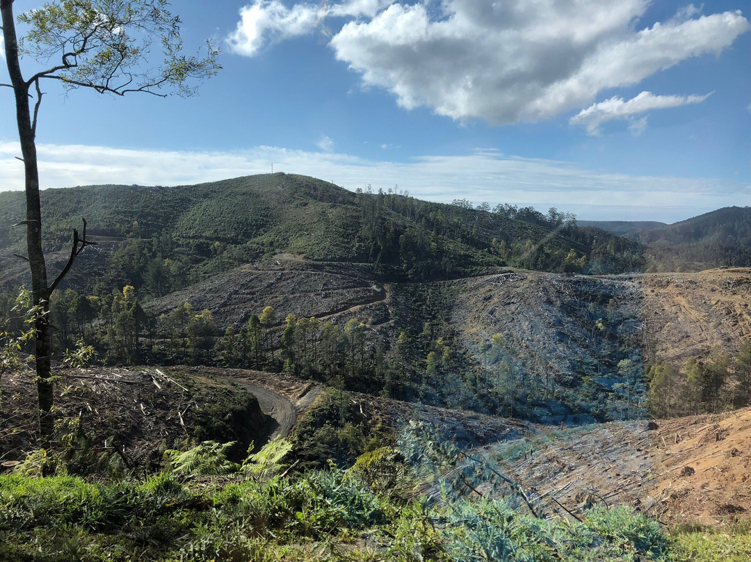 Morwell River Falls-Boolarra必去景点