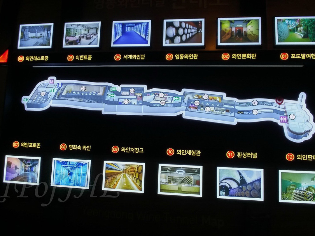 Wine Tunnel-永同郡必去景点