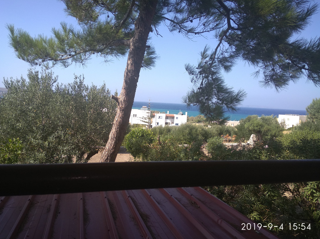 Tripitos旅游攻略图片