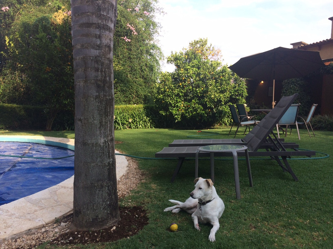 La Joya del Viento主图