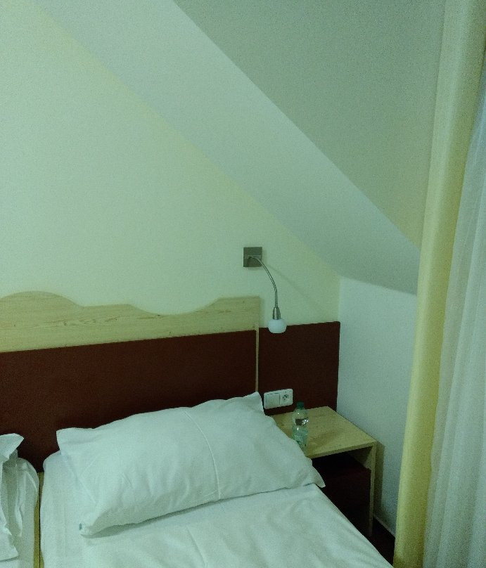 Orea Wellness Hotel Iris主图