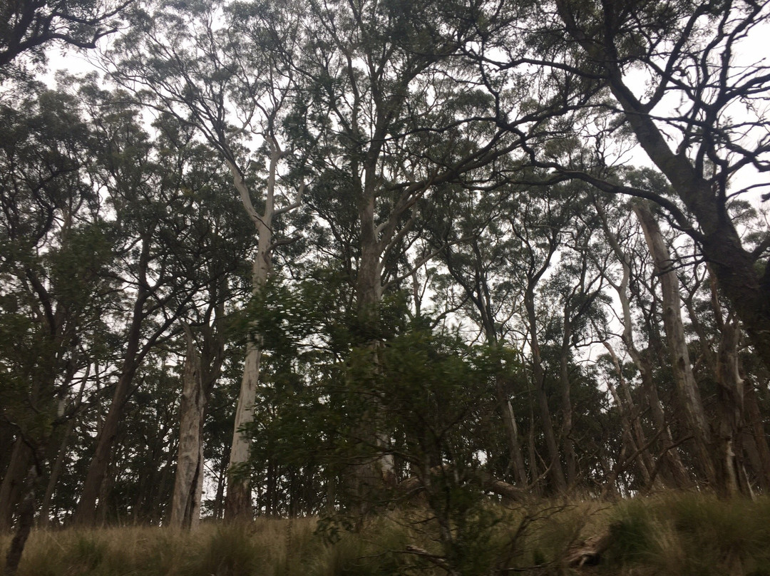 Mount Buninyong-Buninyong必去景点