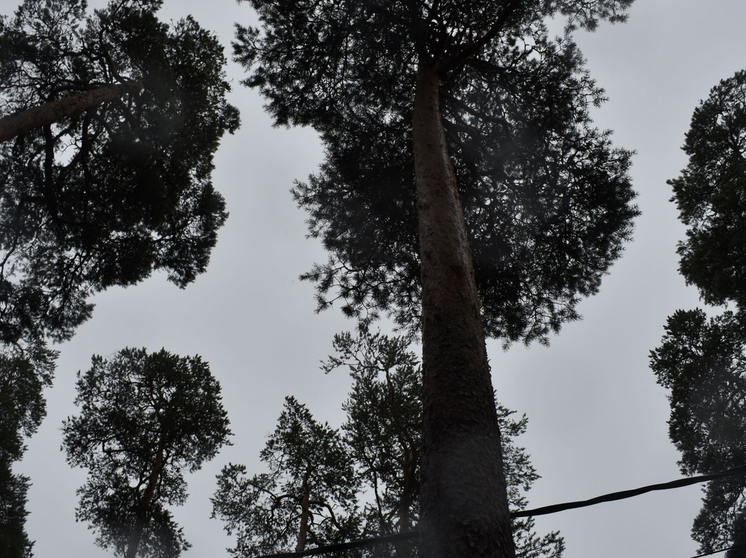 Valaam Archipelago景点图片