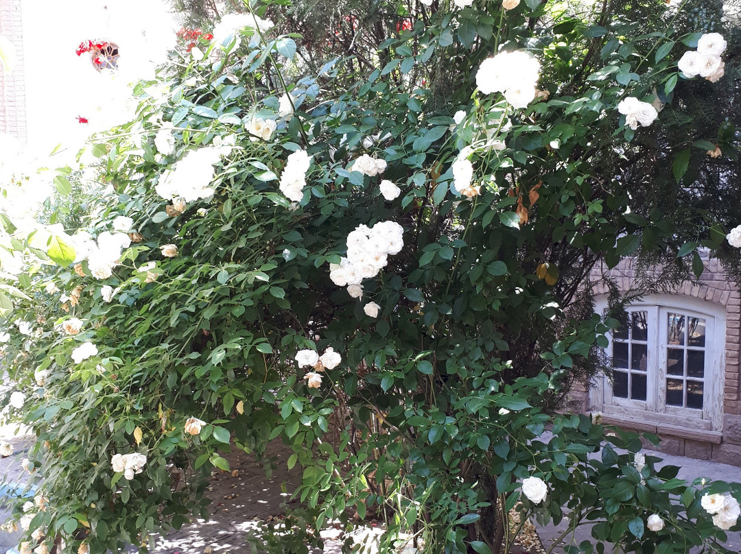 Behnam House-Tabriz必去景点