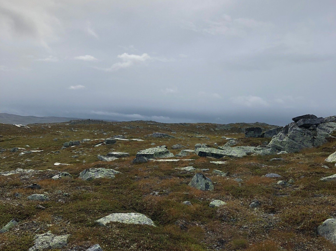 Hardangervidda National Park景点图片