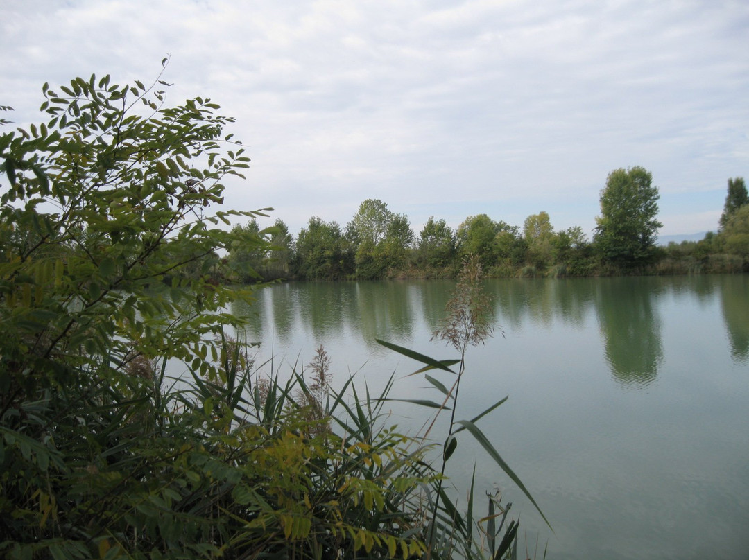 Laghetti di Cesena-Azzano Decimo必去景点