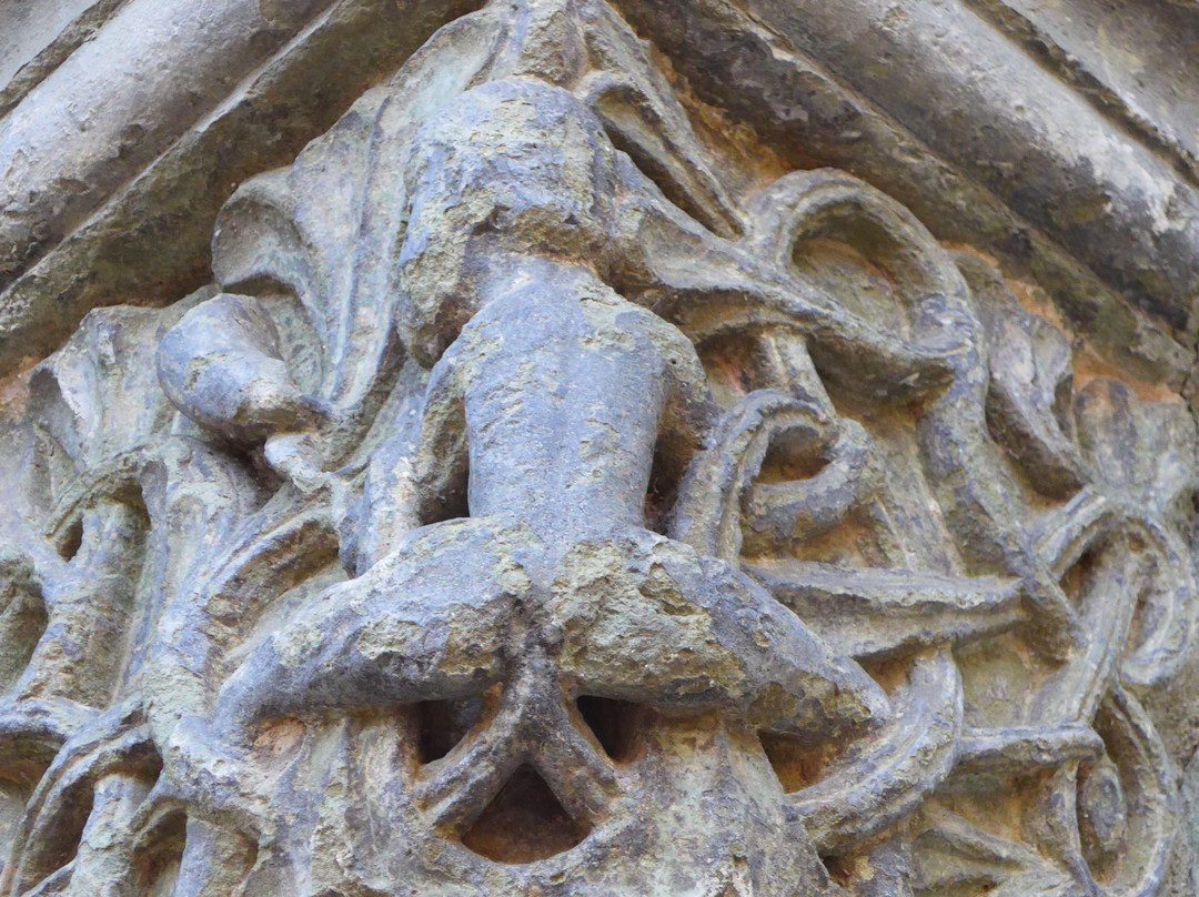 Evangelische Pfarrkirche-St. Maria zur Hohe景点图片