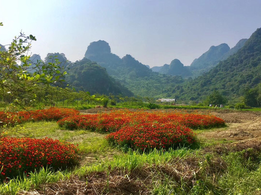 盈香生态园-佛山市必去景点